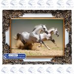 تابلو فرش دویدن دو اسب سفید کد 106027