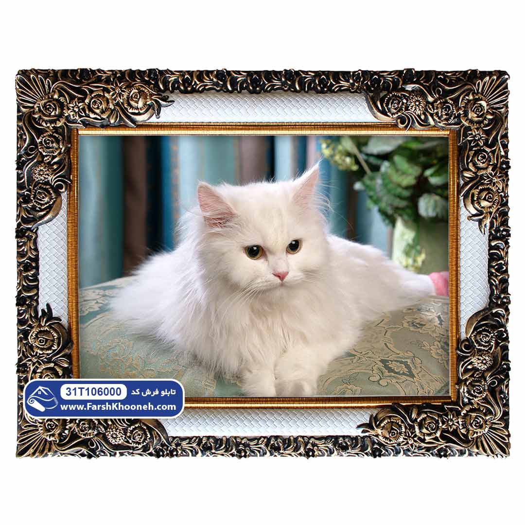 تابلو فرش گربه سفید ایرانی