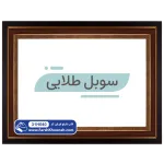 قاب تابلو فرش طرح سوبل طلایی پی وی سی کد 31H040